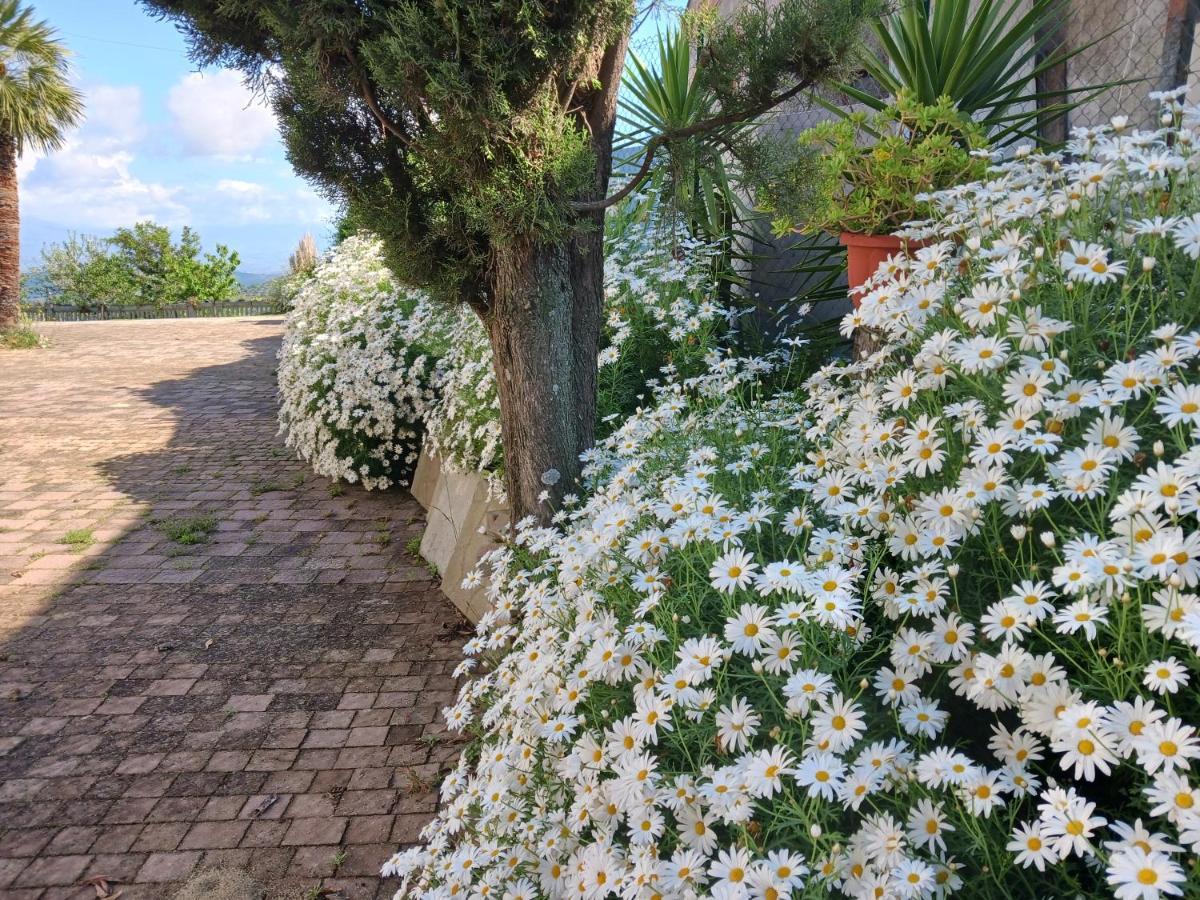 Agriturismo Vemi Vila Santa Sofia d'Epiro Exterior foto